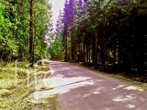 Коттеджный поселок Елизарово-Park - foto_s1.jpg