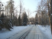 Коттеджный поселок Новогорск-1 - foto_w4.jpg