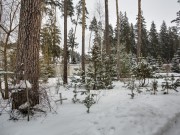 Продажа дома Никологорский (Коттон Вей) 691 м² Рублево-Успенское шоссе - 376121 - foto_bw