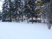 Аренда дома Николино 650 м² Рублево-Успенское шоссе - 398614 - foto_lw