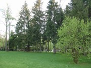 Аренда дома Николино 650 м² Рублево-Успенское шоссе - 398618 - foto_or4