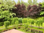 Аренда дома 10 ярдов 950 м² Рублево-Успенское шоссе - 421972 - foto_ls