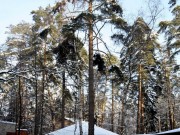 Продажа дома Жуковка-1 107 м² Рублево-Успенское шоссе - 483238 - foto_ls