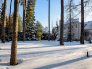 Аренда дома Николино 450 м² Рублево-Успенское шоссе - 404745 - foto_lw