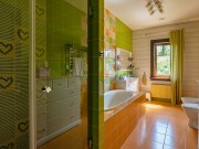 Продажа дома Остров Витенево 600 м² Осташковское шоссе - 424960 - foto_or2