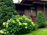 Продажа дома Поречье Дачное 720 м² Рублево-Успенское шоссе - 622574 - 622574