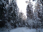Продажа участка Саланг 20 соток Рублево-Успенское шоссе - foto4