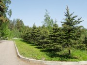 Продажа участка Саланг 16 соток Рублево-Успенское шоссе - foto2