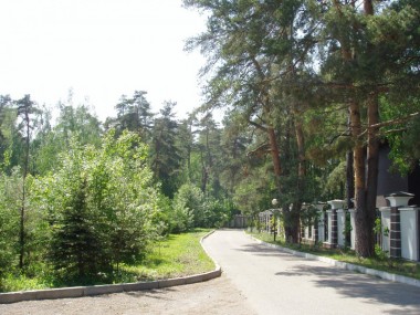 Продажа участков Ильинское - Саланг - 20250