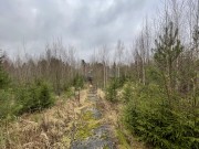 Продажа участка Горышкино 150 соток Рублево-Успенское шоссе - foto4