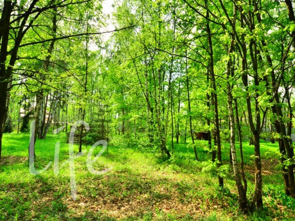 Продажа участка Бузаево 15 соток Рублево-Успенское шоссе - foto1