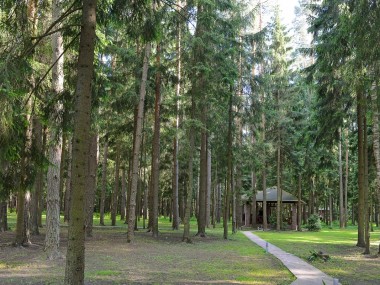 Продажа участков Рублево-Успенское - Корабельные сосны - 45085