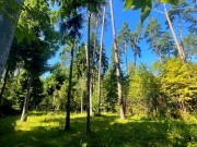 Продажа участка Никологорский (Коттон Вей) 24 сотки Рублево-Успенское шоссе - foto6