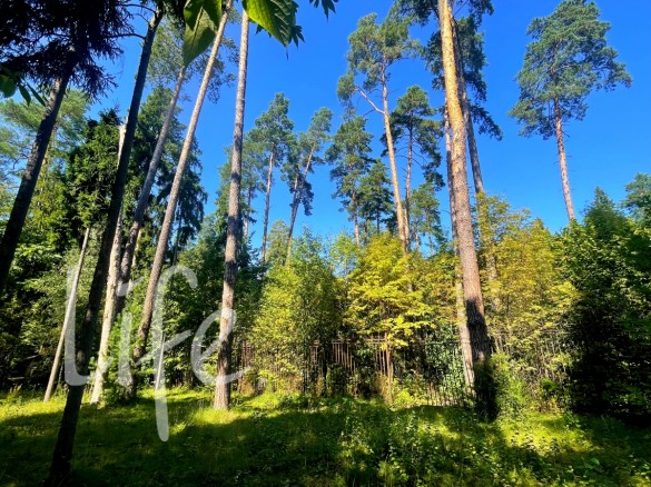 Продажа участка Никологорский (Коттон Вей) 24 сотки Рублево-Успенское шоссе - foto1