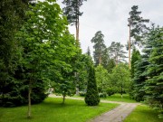 Продажа участка Горки-6 170 соток Ильинское шоссе - foto3