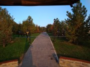 Продажа участка Соловьиная роща 50 соток Калужское шоссе - foto5