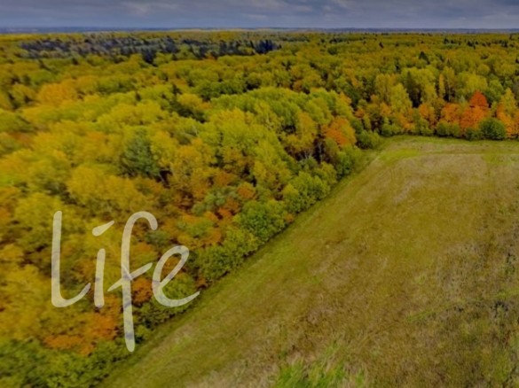 Продажа участка Шапково 764 сотки Новорижское шоссе - foto1