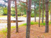 Продажа участка Красновидово 2 16 соток Новорижское шоссе - foto2