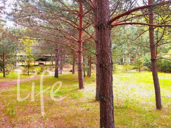 Продажа участка Красновидово 2 16 соток Новорижское шоссе - foto1