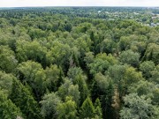 Продажа участка Дарьино 1150 соток Рублево-Успенское шоссе - foto4