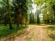 Продажа участка Дарьино 1150 соток Рублево-Успенское шоссе - foto6