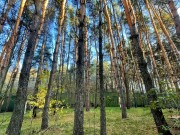 Продажа участка Лобаново 1260 соток Новорижское шоссе - foto8