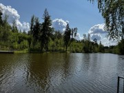 Продажа участка Успенские Дачи-1 УПДП 23 сотки Рублево-Успенское шоссе - foto4