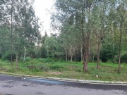 Продажа участка Чесноково 35 соток Новорижское шоссе - foto3