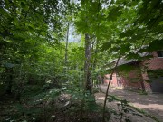 Продажа участка Академические дачи 24 сотки Рублево-Успенское шоссе - foto3