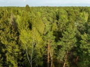 Продажа участка Маслово 50 соток Рублево-Успенское шоссе - foto4