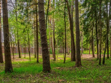 Продажа участков Ильинское - Маслово - 59010