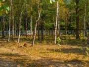 Продажа участка Зеленые холмы 25 соток Киевское шоссе - foto4