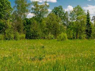 Продажа участков Боровское - Президент - 59302