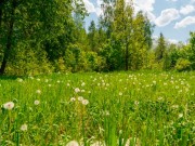 Продажа участка Президент 13 соток Калужское шоссе - 626114