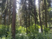 Продажа участка РАНИС 21 сотка Рублево-Успенское шоссе - 646845