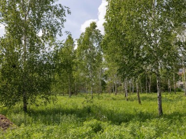 Продажа участков Новорижское - Ильинский ландшафт - 59655