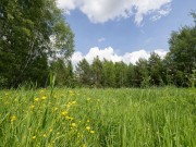 Продажа участка Ильинский ландшафт 15 соток Новорижское шоссе - 638885