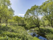 Продажа участка Середнево 42 сотки Киевское шоссе - 642940