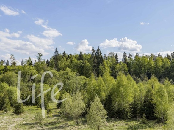 Продажа участка Середнево 18 соток Киевское шоссе - 642942