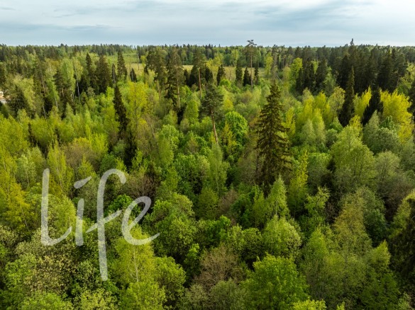 Продажа участка Иславское 10 соток Рублево-Успенское шоссе - 647397