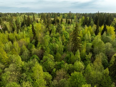 Купить участок - Иславское - 60049